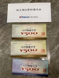 YAMADA HLDGS. ヤマダ電機 株主お買物優待券 ¥500円3枚