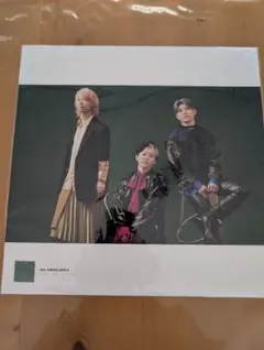 Mrs.GREENAPPLE　10 ベストアルバム特典　LPサイズフォトポスター