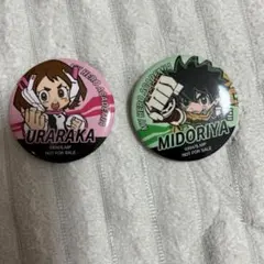 僕のヒーローアカデミア 缶バッジセット