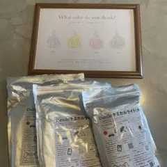 ウェディング　ドレス色当てセット