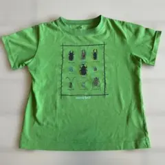 mont-bell モンベル昆虫イラスト Tシャツ 120