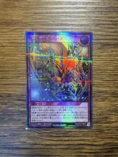 サンセットリバース