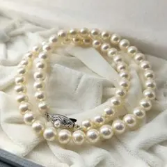 25966✨ミキモト 照り 本真珠 あこや真珠 パールネックレス アコヤ SVのサムネイル