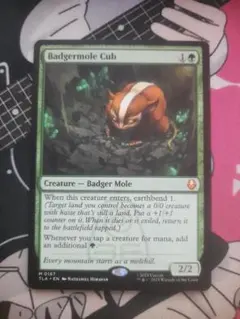 2026年最新】アナグマモグラの仔 mtg の人気アイテム - メルカリ