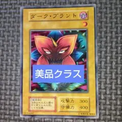 ダーク・プラント