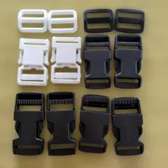 Item thumbnail for item 0e446489-9eb2-48b9-8dbe-94f470c2091d