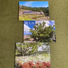 Item thumbnail for item 98f95bdc-81dd-4b36-a67d-f7f0c5057d13