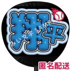 野球 侍ジャパン WBC 応援ボード パネル 大谷翔平 - メルカリ