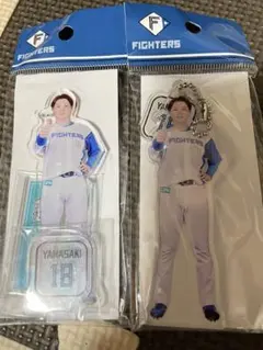 Item thumbnail for item ce06cdbd-1a3d-477d-9463-a88760083aae