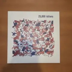 25,000 Kittens ‎レコード アナログ mizuhiro 吟醸派 猫