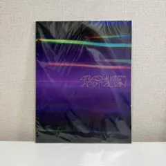 嵐 THE DIGITALIAN グッズ パンフレット パンフ