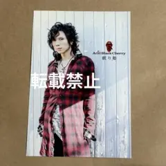 Acid Black Cherry ポストカード 23 - メルカリ