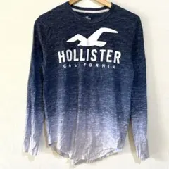 ホリスター グラデーション ロンT 長袖 Tシャツ ネイビー XS S