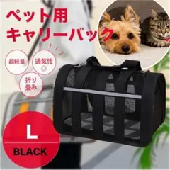 Item thumbnail for item b7c7ffeb-2f89-4d9e-a782-94e49e5388bf