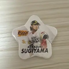 シークレット星型缶バッチ