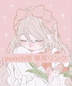 punch様 リクエスト 5点 まとめ商品