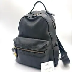 超レアモデル✨コーチ レザー リュック バックパック ターンロック ペブルレザー