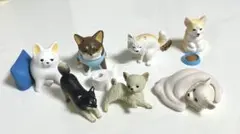 チワワ　フィギュア　まとめ売り　カプセルトイ