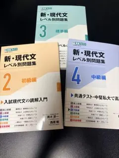 【バラ売り⭕️】新・現代文レベル別問題集 2初級編 3標準編 4中級編