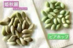 rin.coco.yuzu.0503様 リクエスト 2点 まとめ商品