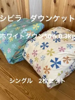 新品　丸洗可【シビラ】羽毛肌掛布団 ダウンケット（シングル）モリノビエント2枚のサムネイル