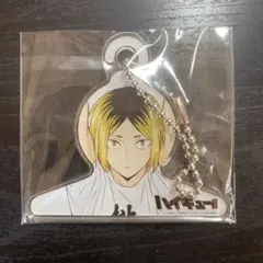 【処分価格】孤爪研磨 ハンガー 2025年最新】ハイキュー ハンガー 研磨の人気アイテム - メルカリ