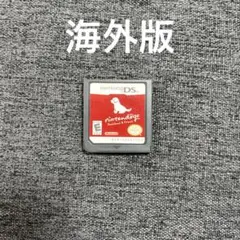 ニンテンドックス　海外版