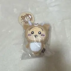 Item thumbnail for item 313e0ea8-b07b-44f4-a1ab-e45c19645562