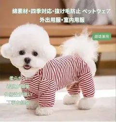 新品 犬服 ボーダー ロンパース 赤白 S〜M相当のサムネイル