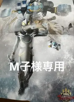 M子様専用です　宇宙船 vol.189