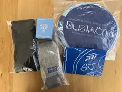SUPER JUNIOR プレミアムシート特典 トレカ9枚セット付き - メルカリ