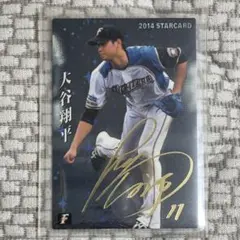 2026年最新】大谷翔平 サイン 日本ハム カードの人気アイテム - メルカリ