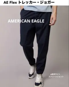 新品未使用AMERICAN EAGLE TREKKER JOGGER M