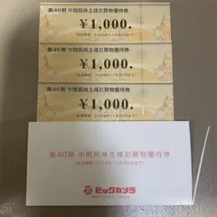 ビックカメラ 株主優待券 3枚セット　3000円分