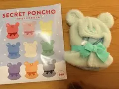 ディズニーストア　シークレットポンチョ　緑　ユニベアシティ