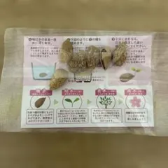 Koko様 リクエスト 2点 まとめ商品