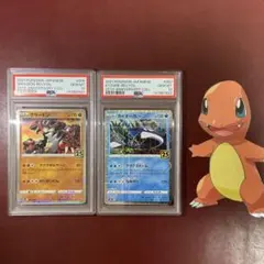 2026年最新】グラードン psa10の人気アイテム - メルカリ