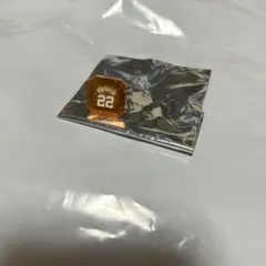 オータムチャンスジャイアンツくじ 小林誠司　22番