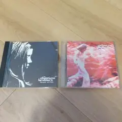 The Chemical Brothers 2枚セット