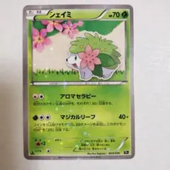 シェイミ CP5 幻·伝説ドリームキラコレクション 003/036 ③