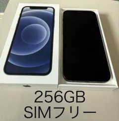 iPhone12 mini 256GBのサムネイル