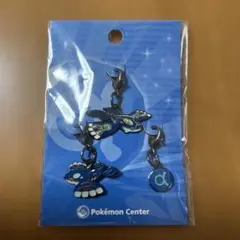 ポケモンセンター限定 メタルチャーム ハガネール メガハガネール