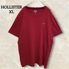 HOLLISTER ホリスター クルーネック Tシャツ XL 赤 サーファー
