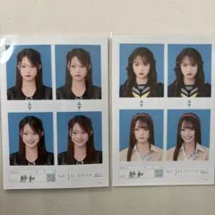紗和 seju 証明写真 vol.2 2枚セット