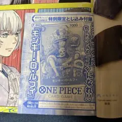 ONE PIECEカードゲーム 2周年記念ガイドブック 10冊セットゾロおナミ