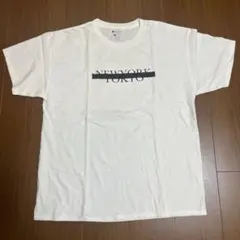 チャンピオン champion Tシャツ Lサイズ
