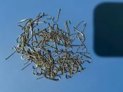 王冠針 長エソイ 22 号釣り針100本 - メルカリ