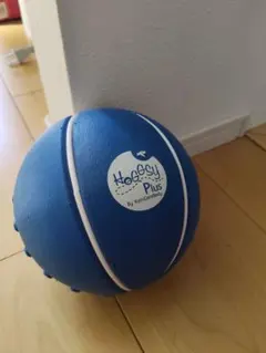 YUMICORE ユミコア Hogssy Plus