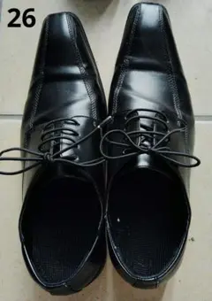 Item thumbnail for item 2b2b0a82-e00d-4334-8015-56405b3e913d