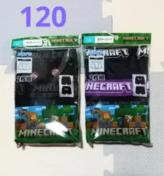 Item thumbnail for item 698a5552-a548-41b4-8b22-32907a26a91b